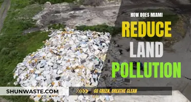 Miami's Strategies to Combat Land Pollution