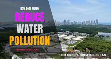 Miami's Water Conservation: Strategies to Reduce Pollution