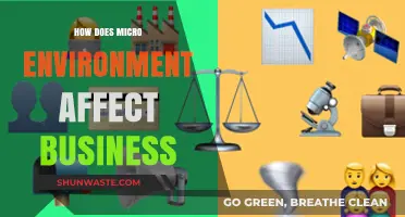 Micro Environment's Impact: Shaping Business Strategies and Outcomes Effectively