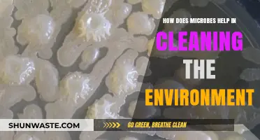 Microbes: Nature's Tiny Warriors Cleaning Our Environment Effectively