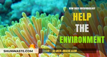 Microbiology's Role in Protecting and Restoring Our Environment