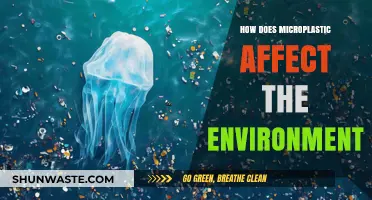 Microplastics' Environmental Impact: Unseen Pollution Threatening Ecosystems and Wildlife