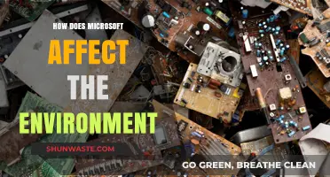 Microsoft's Environmental Impact: Sustainability Efforts and Green Tech Innovations