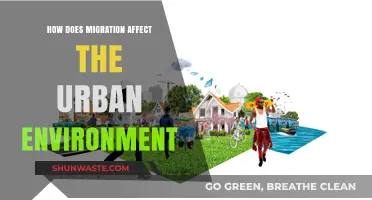 Migration's Impact: Shaping Urban Landscapes and Environmental Dynamics