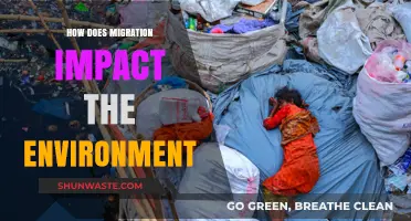 Migration's Environmental Footprint: Challenges and Sustainable Solutions Explored