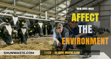 Milk's Environmental Impact: Sustainability Challenges and Solutions Explained