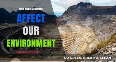 Minerals' Environmental Impact: Shaping Ecosystems and Sustainability