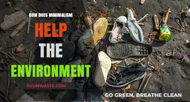 Minimalism's Eco-Impact: Reducing Waste, Conserving Resources, and Saving the Planet