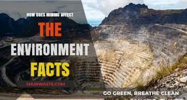 Mining's Environmental Impact: Facts, Consequences, and Sustainable Solutions