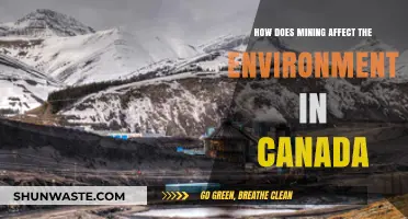 Mining's Environmental Impact: Canada's Ecosystems and Challenges Explored