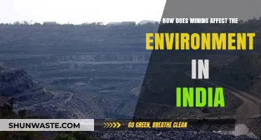 Mining's Environmental Impact: India's Ecological Challenges and Sustainable Solutions