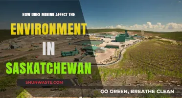 Mining's Environmental Impact: Saskatchewan's Ecosystems and Challenges Explored
