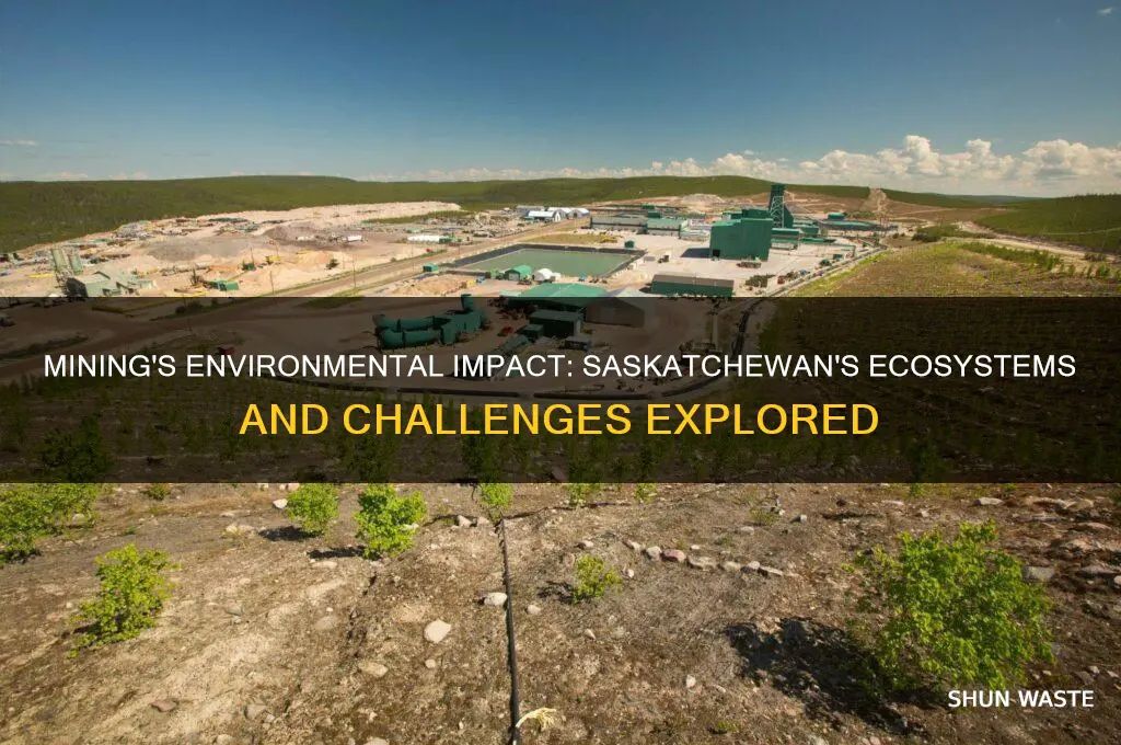 how does mining affect the environment in saskatchewan