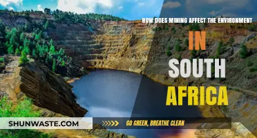Mining's Environmental Impact: South Africa's Ecosystem and Communities at Risk