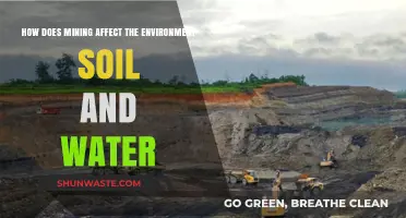 Mining's Impact: Environmental Degradation of Soil and Water Resources