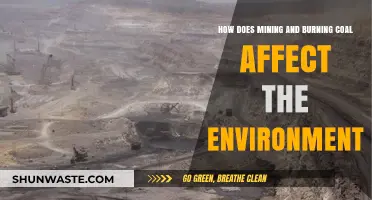 Coal's Environmental Impact: Mining, Burning, and Ecological Consequences Explained