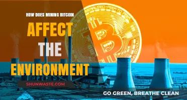 Bitcoin Mining's Environmental Impact: Energy Consumption and Ecological Consequences