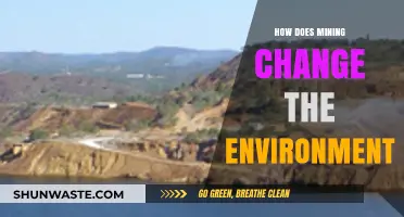 Mining's Impact: Environmental Changes and Long-Term Ecological Consequences Explained