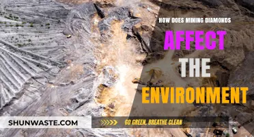 Diamond Mining's Environmental Impact: Destruction, Pollution, and Ecosystem Disruption