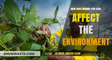 Coal Mining's Environmental Impact: Pollution, Habitat Loss, and Climate Change