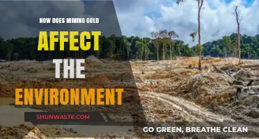 Gold Mining's Environmental Impact: Destruction, Pollution, and Ecosystem Disruption