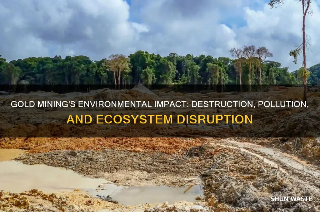 how does mining gold affect the environment
