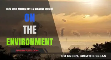 Mining's Devastating Environmental Impact: Pollution, Habitat Loss, and Ecosystem Destruction