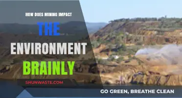 Mining's Environmental Impact: Effects, Challenges, and Sustainable Solutions Explained