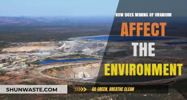 Uranium Mining's Environmental Impact: Consequences and Sustainable Solutions