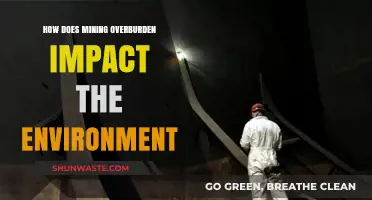 Mining Overburden's Environmental Impact: Soil, Water, and Ecosystem Disruption