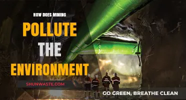 Mining's Environmental Impact: Devastating Pollution