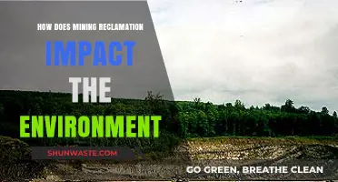Mining Reclamation: Environmental Impacts, Challenges, and Sustainable Solutions Explored