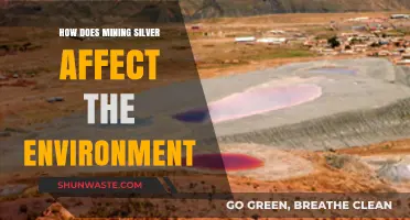 Silver Mining's Environmental Impact: Pollution, Habitat Loss, and Ecosystem Disruption