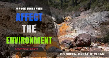 Mining Waste's Environmental Impact: Pollution, Destruction, and Ecosystem Threats