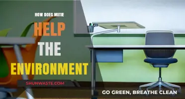 Mitie's Green Impact: Sustainable Solutions for a Healthier Environment