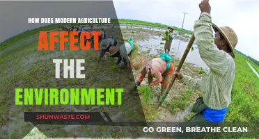 Modern Agriculture's Environmental Impact: Challenges and Sustainable Solutions