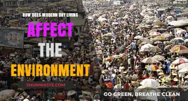 Urbanization, Technology, and Consumption: Modern Living's Impact on Our Planet