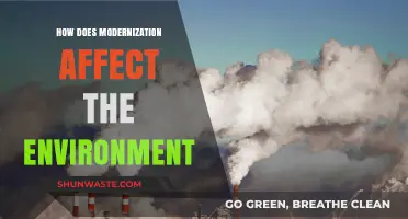 Modernization's Environmental Impact: Progress, Challenges, and Sustainable Solutions