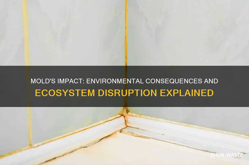 how does mold affect its environment