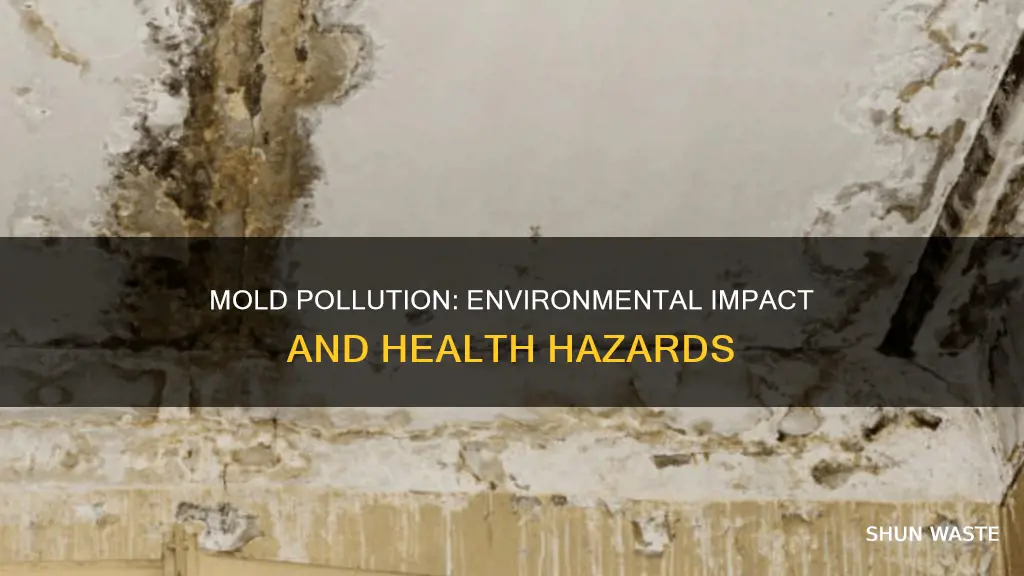 how does mold pollution affect the environment