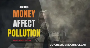 Money and Pollution: The Complex Relationship