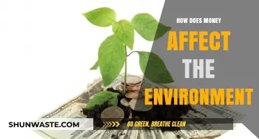 Money's Environmental Impact: Exploring the Hidden Costs of Wealth