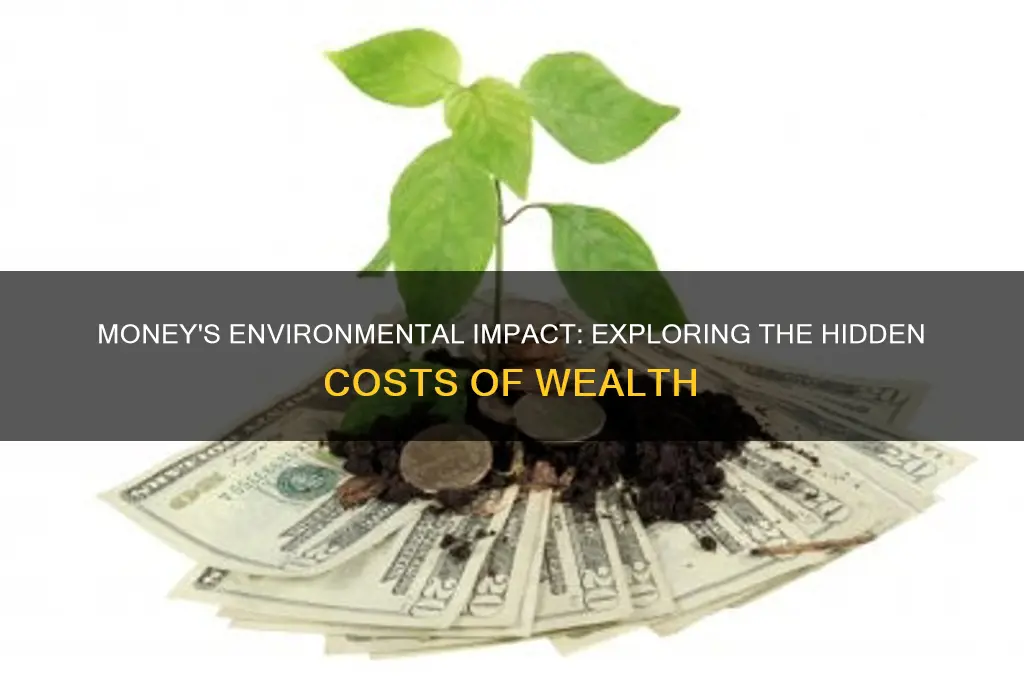 how does money affect the environment