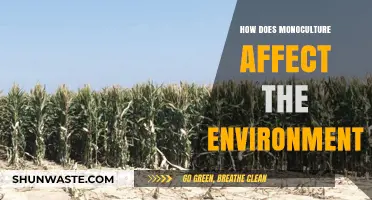 Monoculture's Environmental Impact: Biodiversity Loss, Soil Degradation, and Ecosystem Disruption