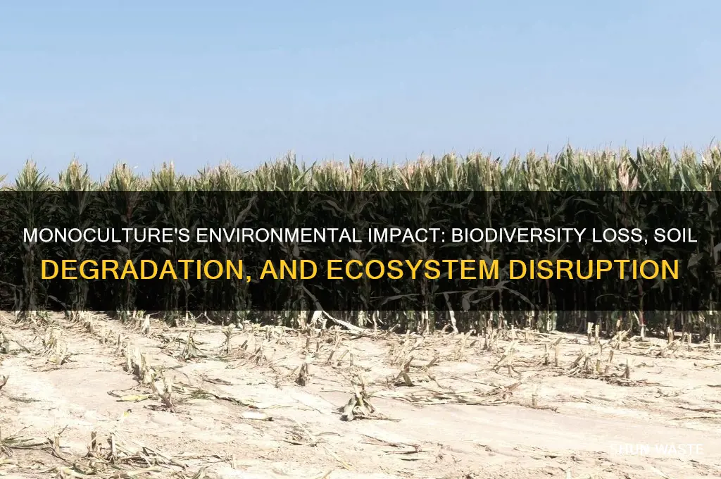 how does monoculture affect the environment