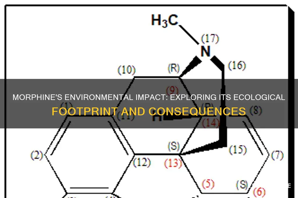 how does morphine affect the environment