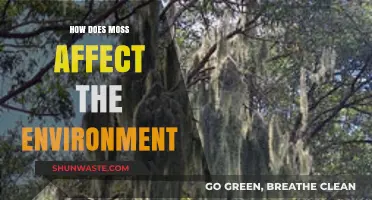 Moss's Environmental Impact: Benefits, Challenges, and Ecosystem Influence Explained