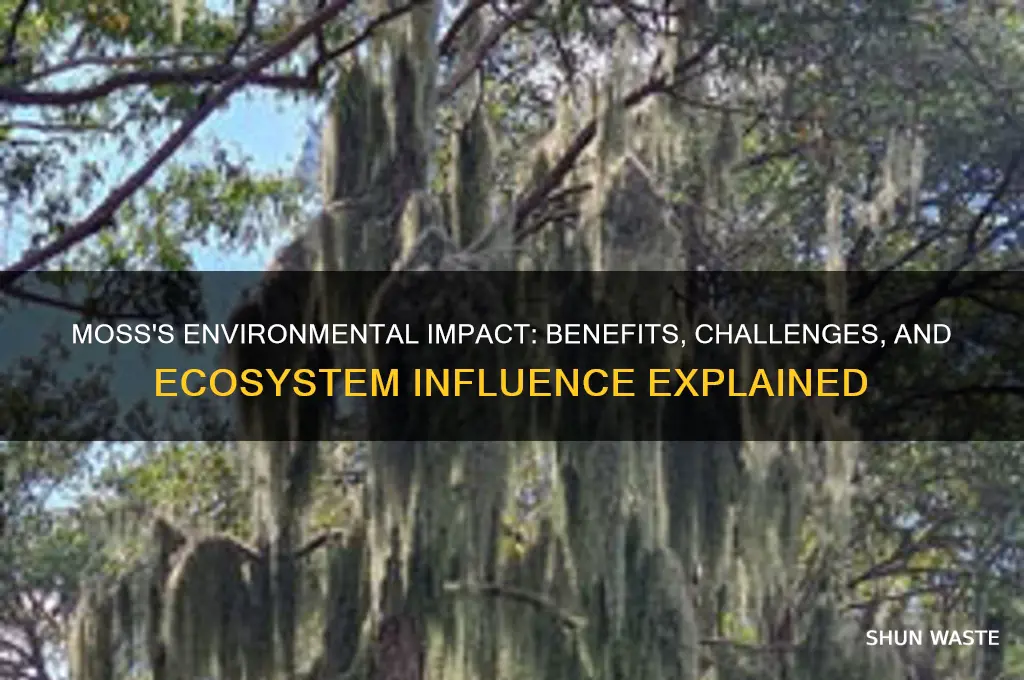 how does moss affect the environment