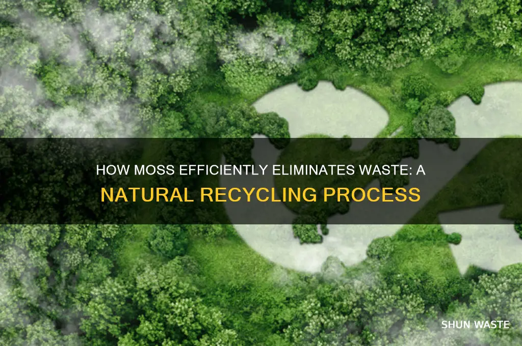 how does moss get rid of waste