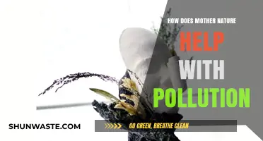 Nature's Pollution Solution: Mother Nature's Power